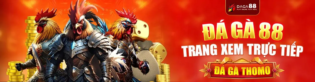 Đấu trường đá gà kịch tính tại xoso6688 login